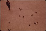 Man walking towards pigeons